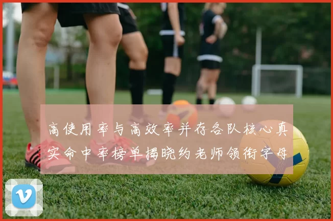 高使用率与高效率并存各队核心真实命中率榜单揭晓约老师领衔字母紧随其后